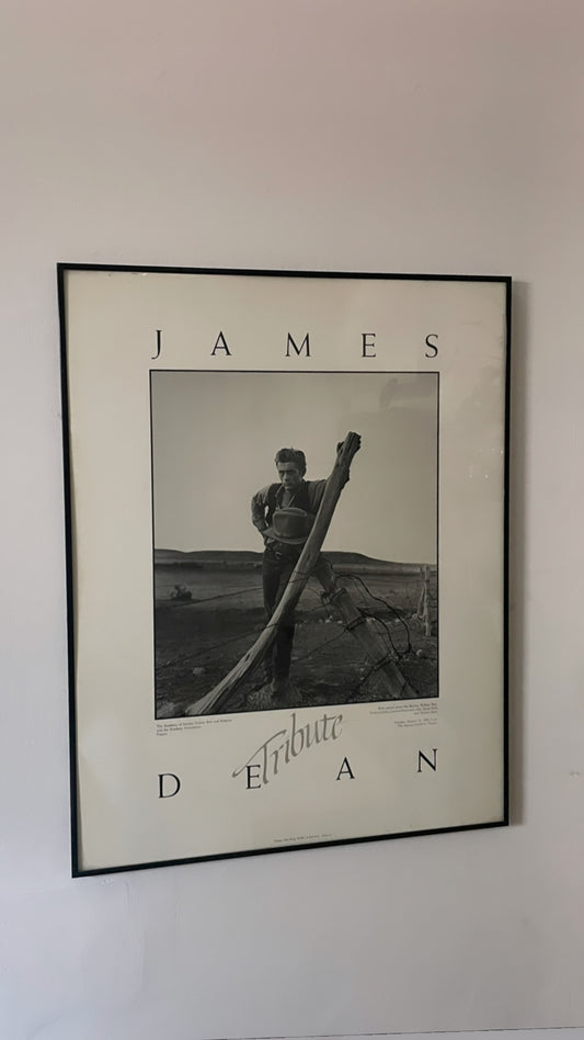 Framed '83 James Dean Tribute Poster