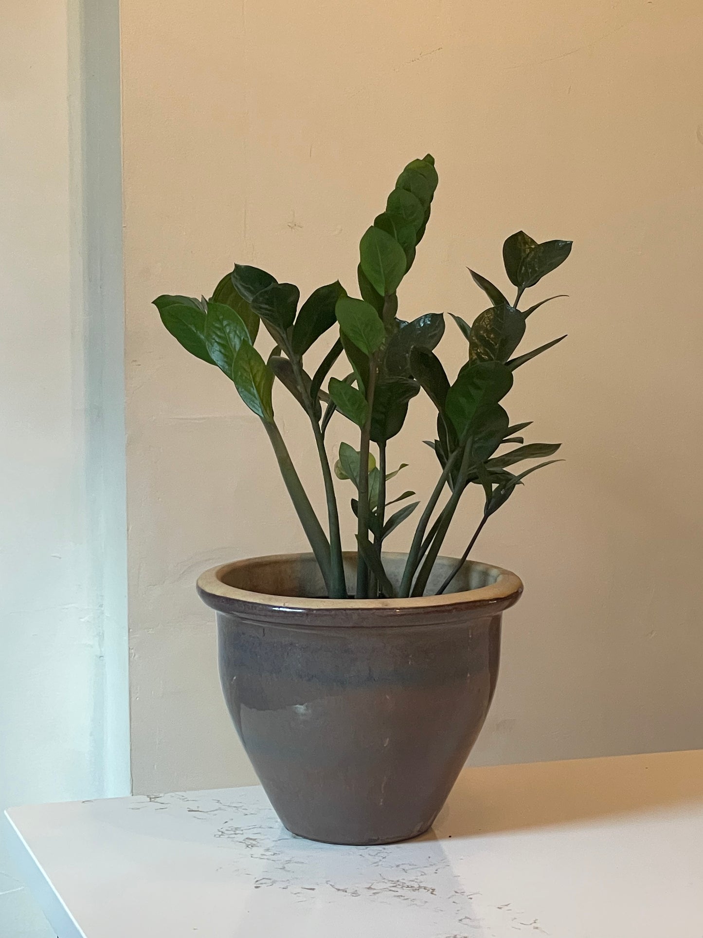 Stoneware Planter