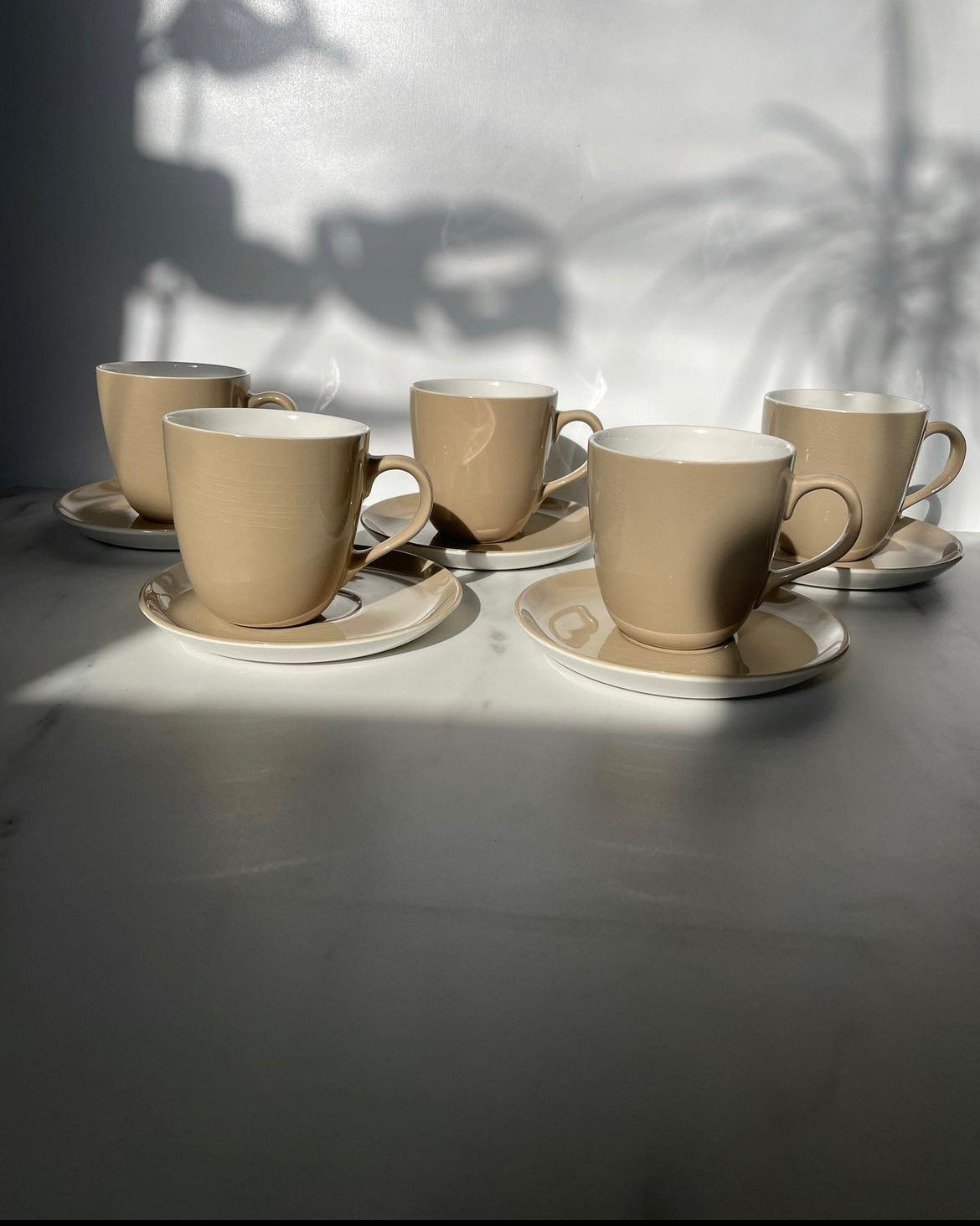 Cups- Cappuccino Cup and Saucer - Set of 2
