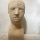 Phrenology Head Bust Replica, made to order by House Parts