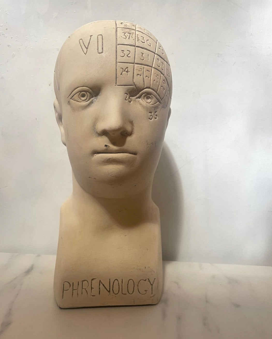 Phrenology Head Bust Replica, made to order by House Parts