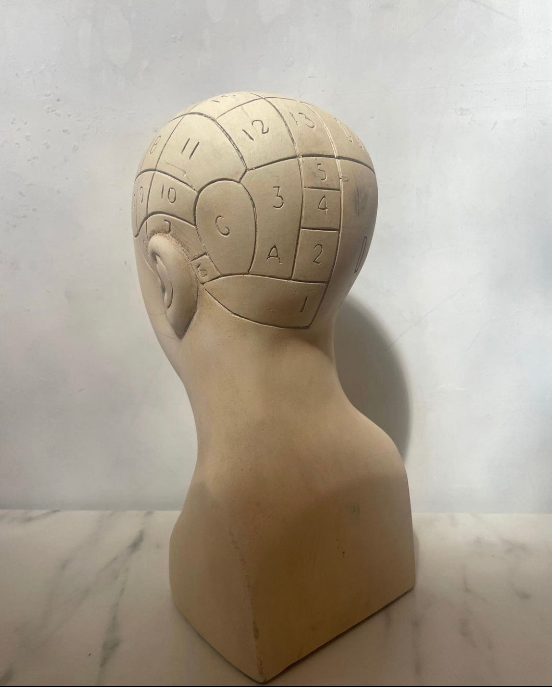 Phrenology Head Bust Replica, made to order by House Parts