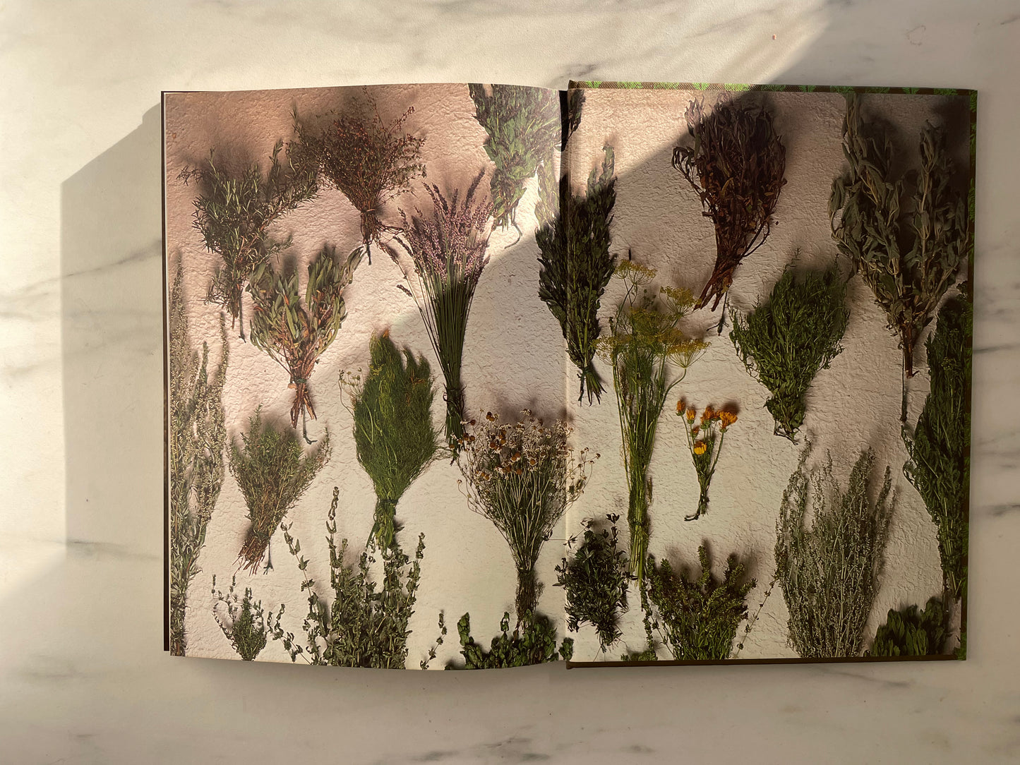 The Herb Book Hardcover