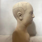 Phrenology Head Bust Replica, made to order by House Parts