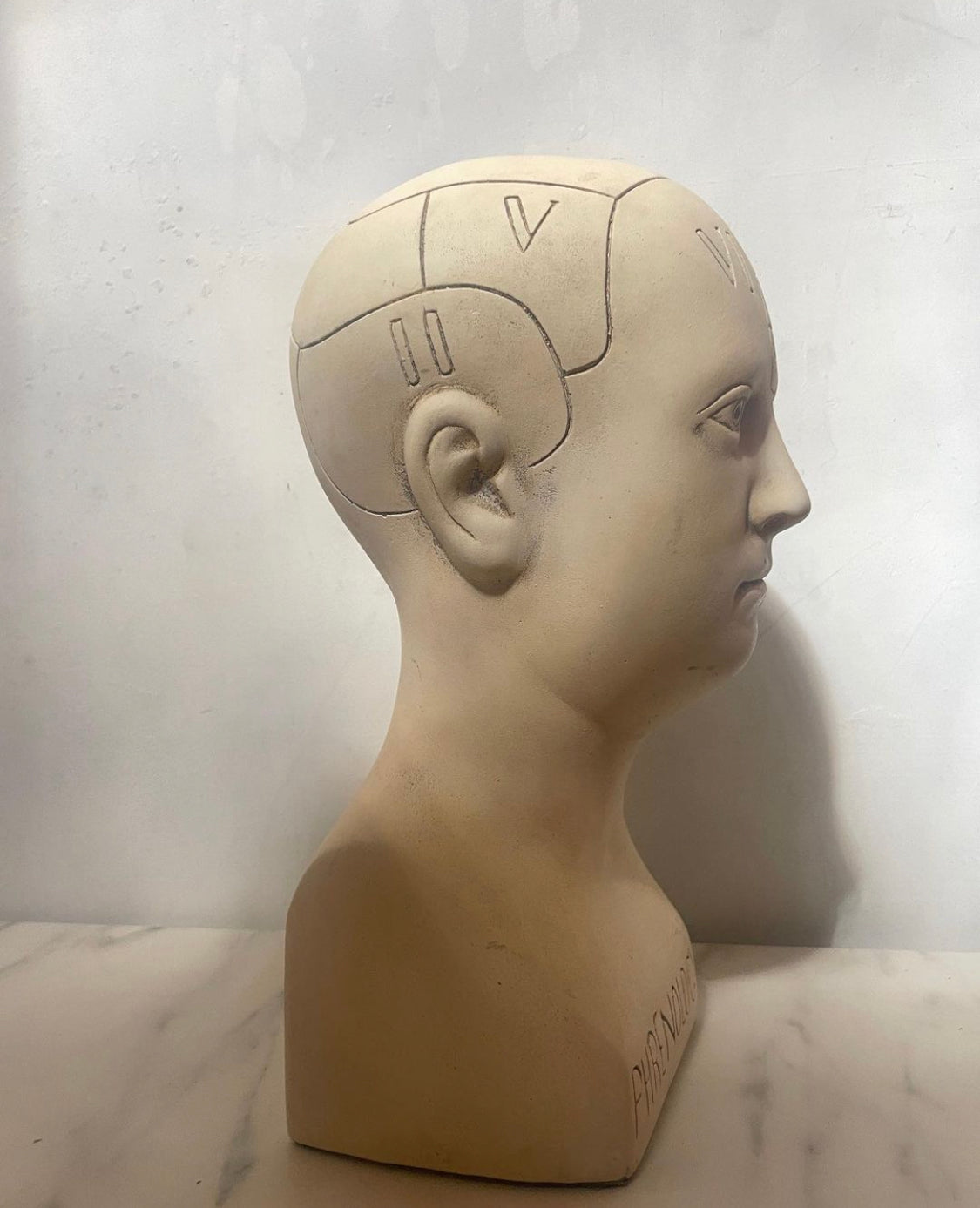 Phrenology Head Bust Replica, made to order by House Parts