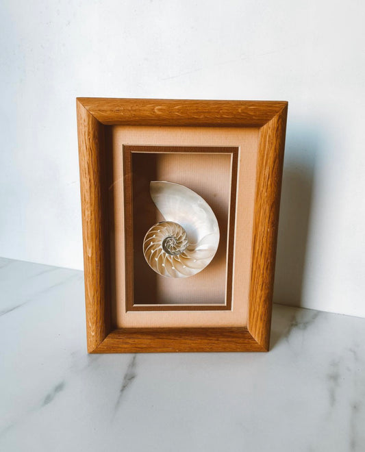 Hand Crafted Sun Reflections Framed Shell Wall Art