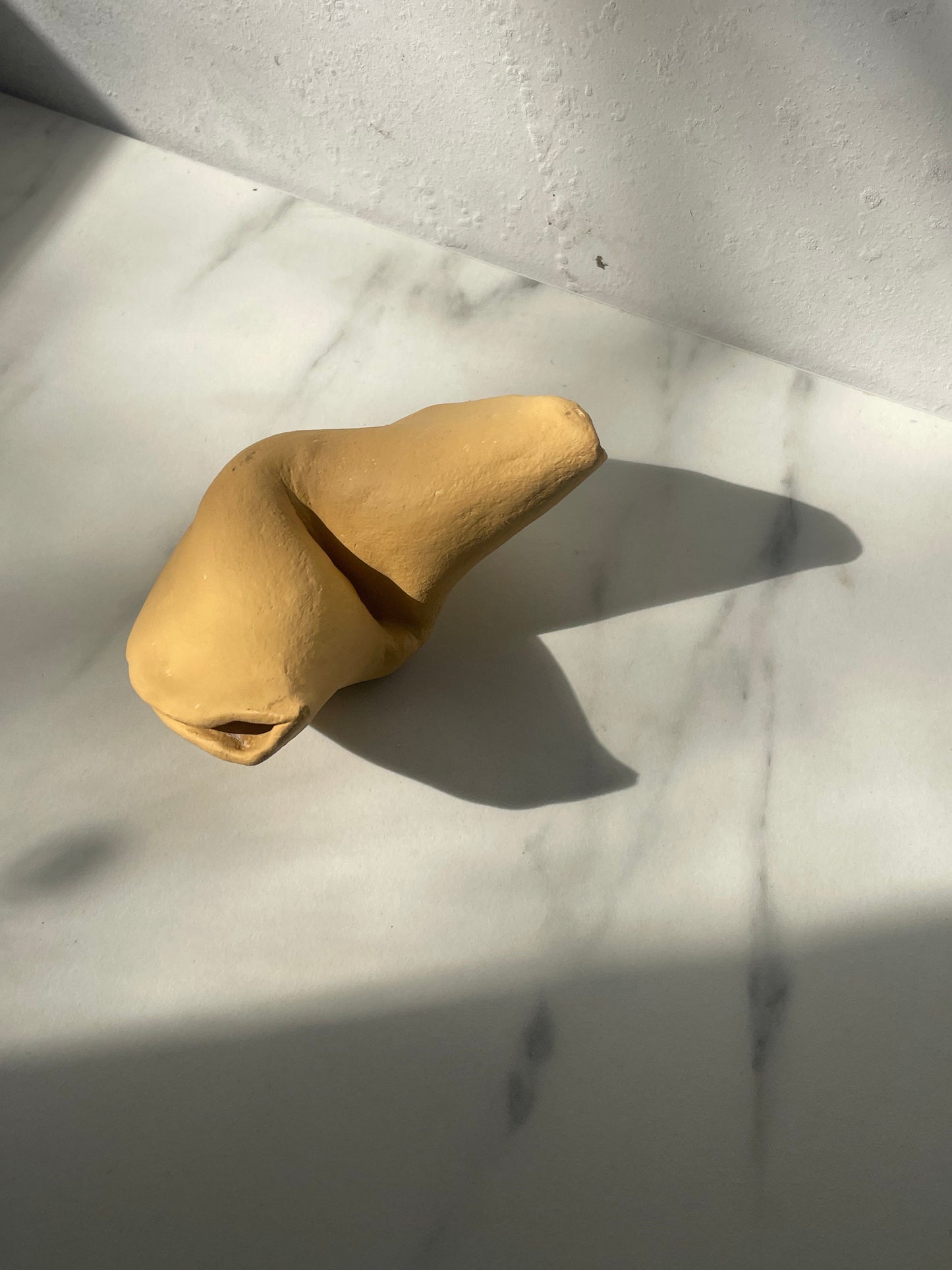 Sculpted Fortune Cookie