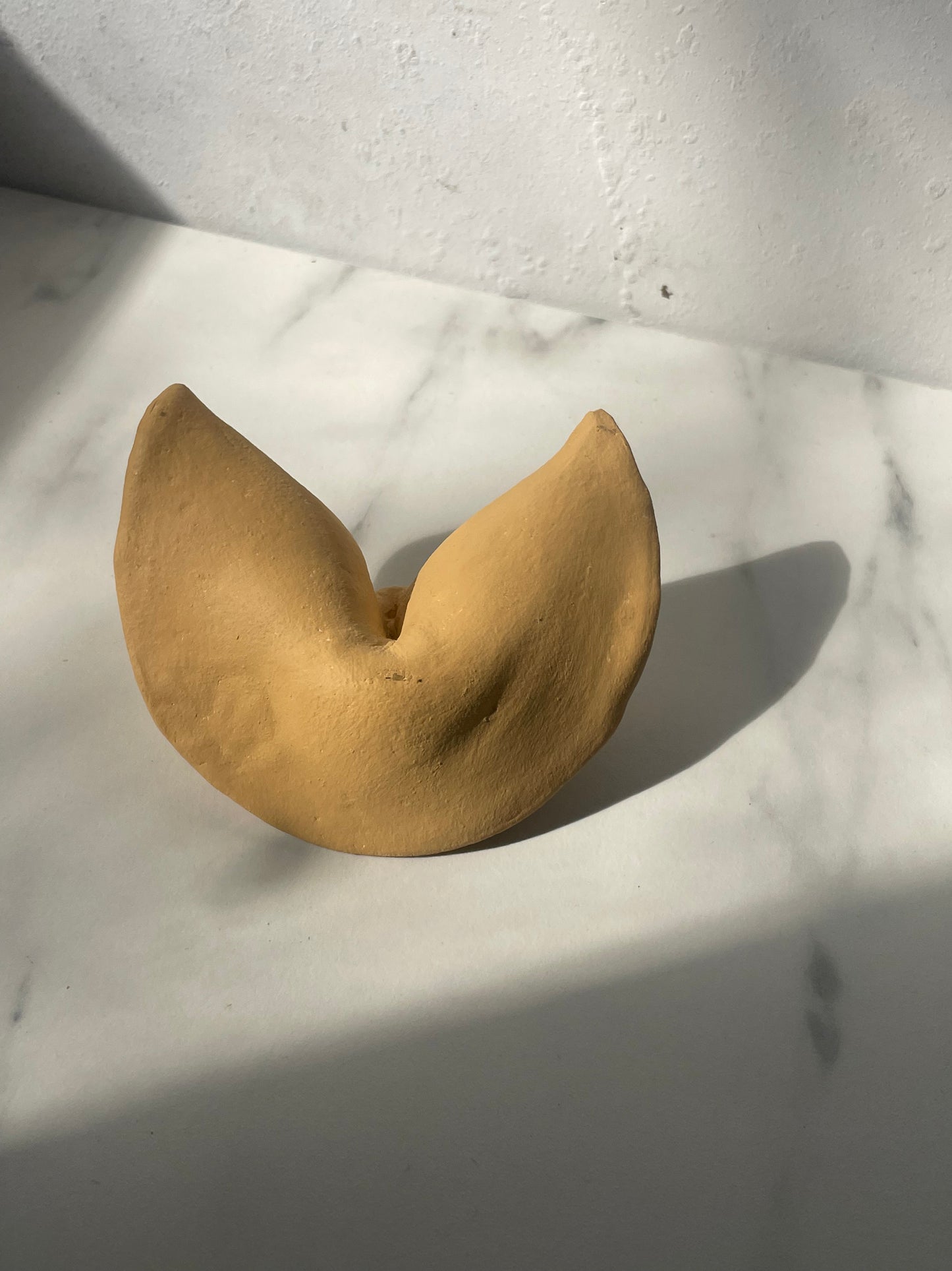 Sculpted Fortune Cookie