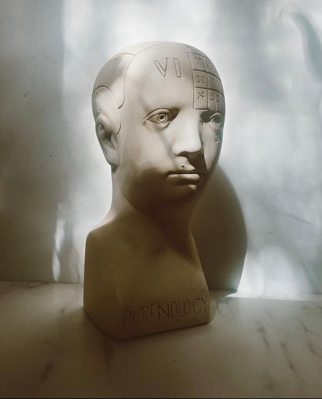 Phrenology Head Bust Replica, made to order by House Parts