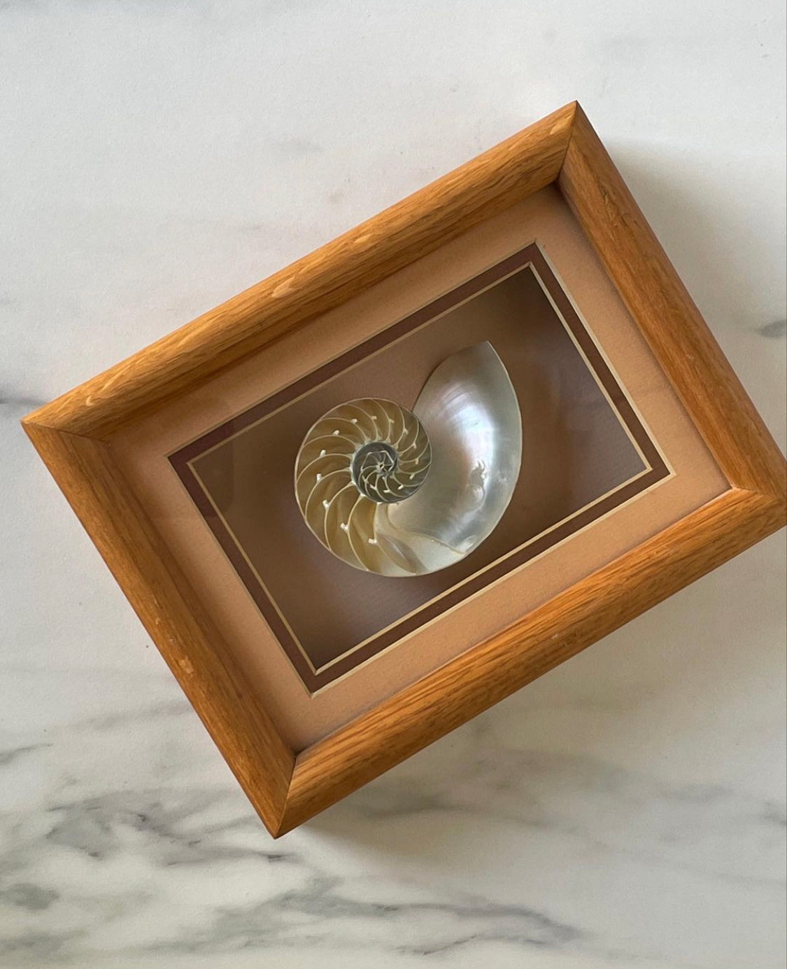 Hand Crafted Sun Reflections Framed Shell Wall Art