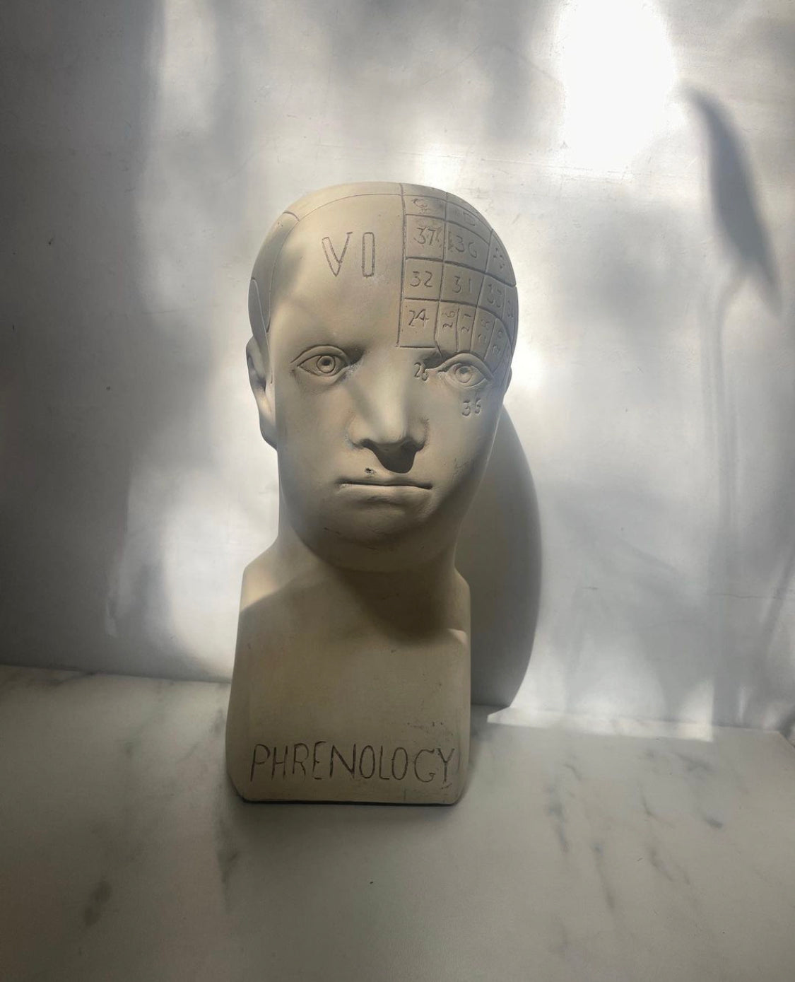 Phrenology Head Bust Replica, made to order by House Parts