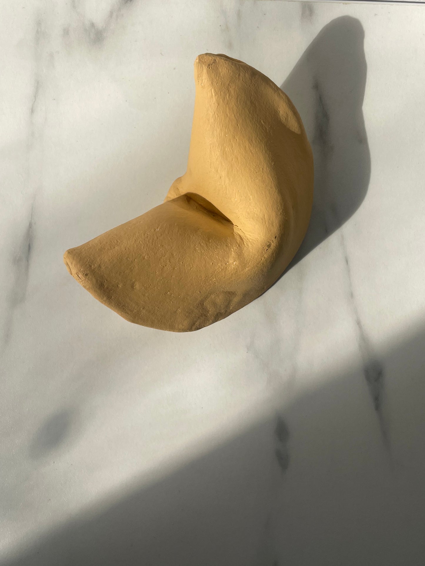 Sculpted Fortune Cookie